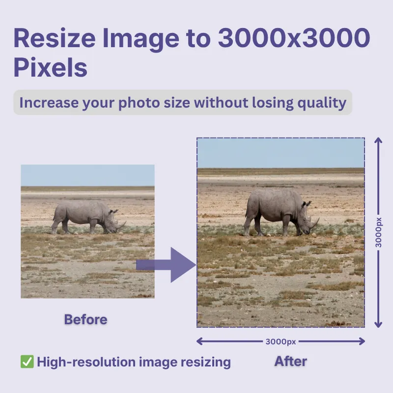 Resize Image to 3000x3000